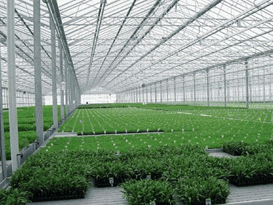 温室蔬菜大棚遭遇低温如何防备？